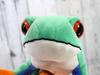 Take Off Animania Red-eyed Tree Frog 062124