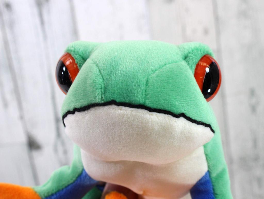 Take Off Animania Red-eyed Tree Frog 062124