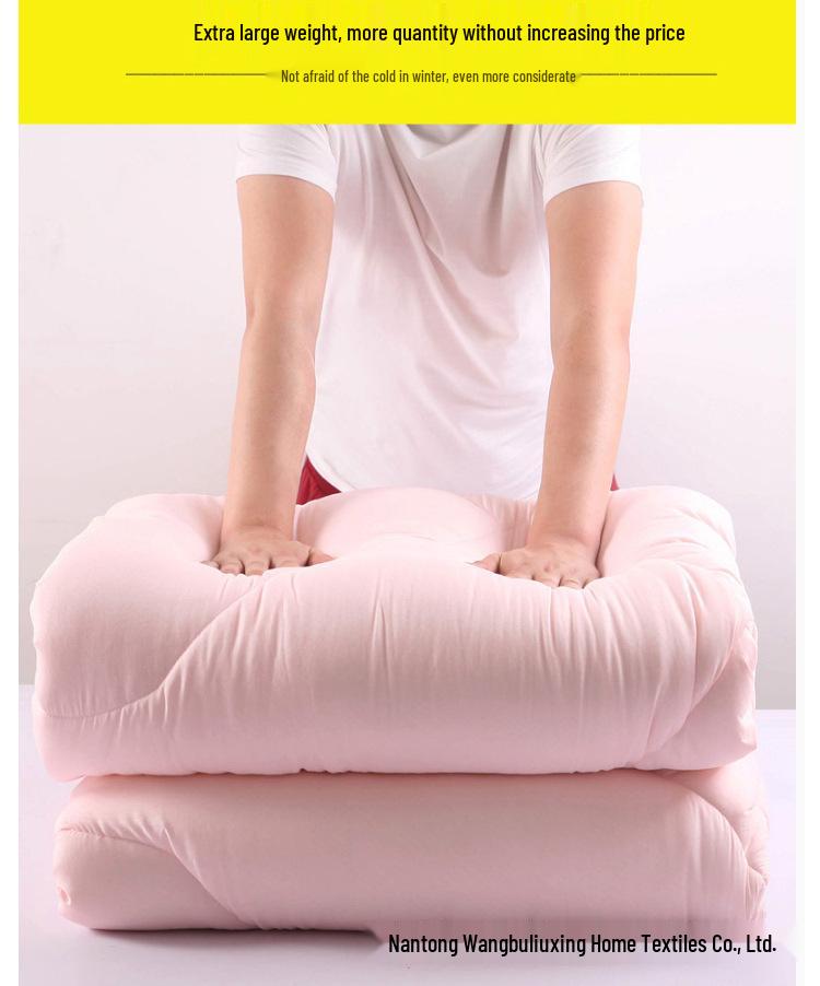 Brushed Comforter: Thickened Silk Cotton Quilt for All Seasons