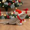 Reptile Christmas Costume: Bearded Dragon Santa Hat & Scarf Set with Adjustable Chin Strap for Lizards, Ferrets