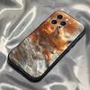 Füchse TIERE Handyhülle Für iPhone 16,15,14,13,12,11,Pro,Max,Plus,X,XS,SE4,E,Mini,Weiche Schwarze Hülle
