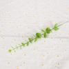 Eucalyptus Stem Decor 24 Leaves Plastic Iron Wire Artificial Fake Faux Eucalyptus Stem for Home Party Wedding Decoration