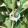 100 Pcs Plastic Plant Clips For Climbing Plants Clear Plant Fixing Clip Tomato Trellis Clips Plant Support Clips Vine Fixing Clip