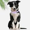 Waterproof PVC Dog Collar Soft Plastic Rubber Puppy Collar with Safety Buckle Adjustable Pet Collars for Small Medium Large Dogs