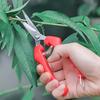 Mini Pruning Shears Garden Scissors for Indoor Plants, Sharp Stainless Steel Flower and Bonsai Trimming Tool for Houseplant Care and Gardening