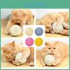 Sisal Toy Cat Interactive Cat Scratching Ball Toy Biteresistant Pet Toy For Stress Relief And Exercise