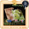 [PRE-ORDER] NiziU Kórea 1. mini album - Sour Grapes (Prívesok hrozno ver.)