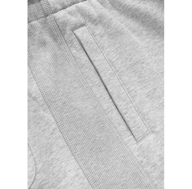 PITBULL BADGER Sports Shorts