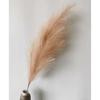 Künstliches Pampasgras 120cm Flauschiges Kunst-Schilf Einzelstiel für Boho-Wohnkultur Hochzeit Dekoration