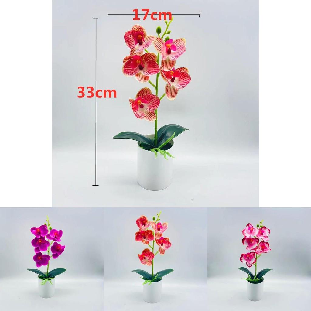 Artificial Phalaenopsis Aphrodite Plant With Silk Flowers For Home Decor And Gift Idea