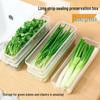 Boîte de conservation fraîcheur pour coriandre, ciboule et oignon vert - Organisateur de réfrigérateur de qualité alimentaire pour tiges entières, nouilles, œufs, oignons et gingembre.