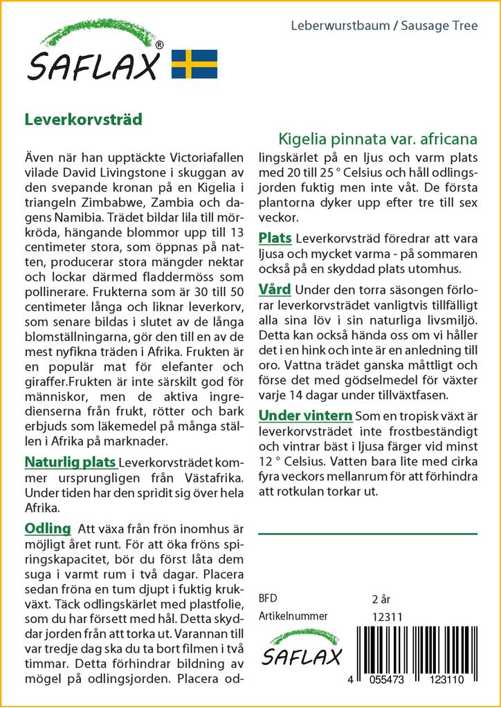 SAFLAX Sausage Tree - 10 Seeds - Kigelia Pinnata