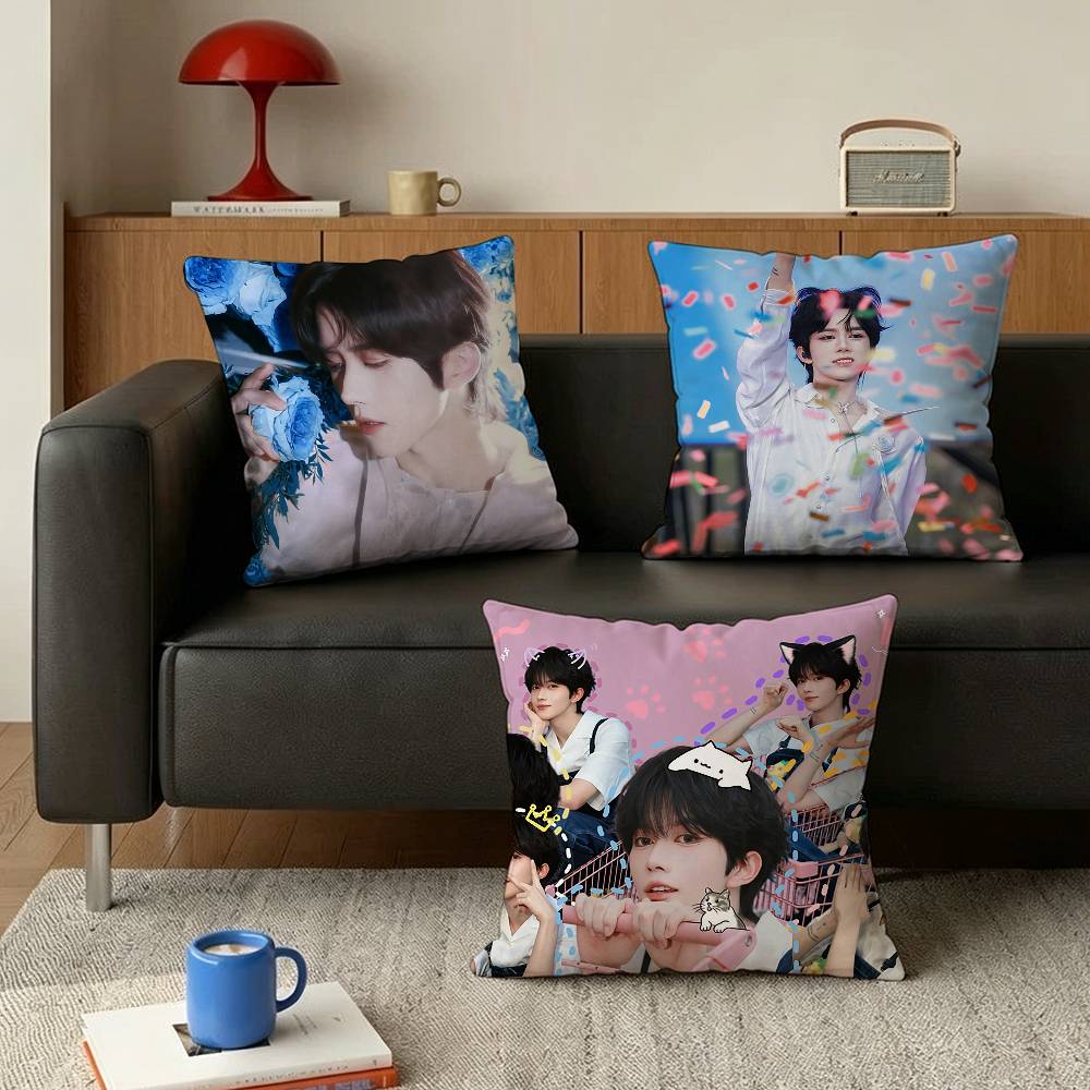 Huang Xing Eliot Huang D-Desire Various Sizes Square Pillow Case For Car Home Bedchamber Decor