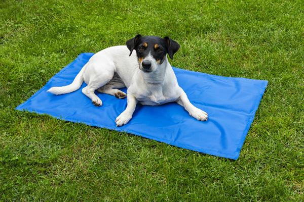 Cooling Mat for Dogs and Cats 81 X 96