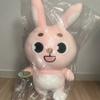 DAY6 (Shipping Not Included) Wonpil Doll Giant Denimals Feel