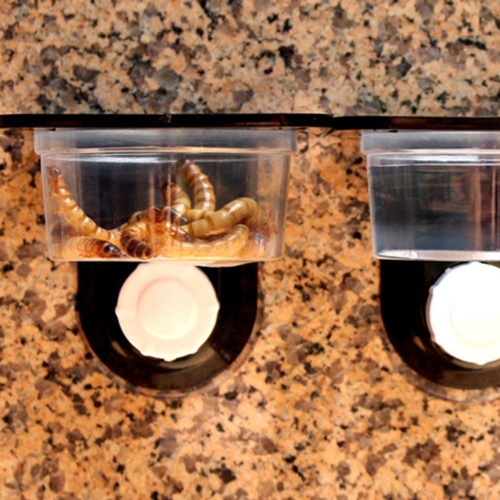 Dual Purpose Insect Feeding Dish Plastic Gecko Feeding Ledge Reptile Feeder Bowl for Snake