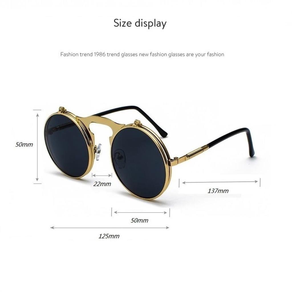 Steampunk Sunglasses Round Glasses Classic Fashion Stylish Full Rim Type Flip-up (Gold Green)