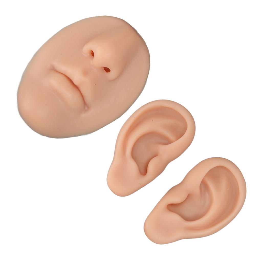 Silikon-Ohr-Modell Anfänger Simuliertes 3D-Nasen- und Mundmodell Display-Requisite Lehrmittel für Piercing-Übung Mittlere Hautfarbe