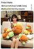 Cross-Border Plush Turtle: Adorable Children's Desk Companion & Creative Birthday Gift Doll