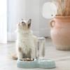 Dual Automatic Pet Feeder Bowl For Dogs And Cats Non Spill Plastic Water And Food Dispenser With Stand