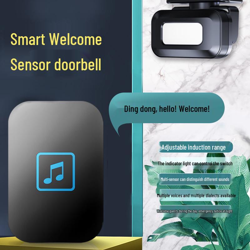 Wireless Greeter & Reminder Induction Doorbell