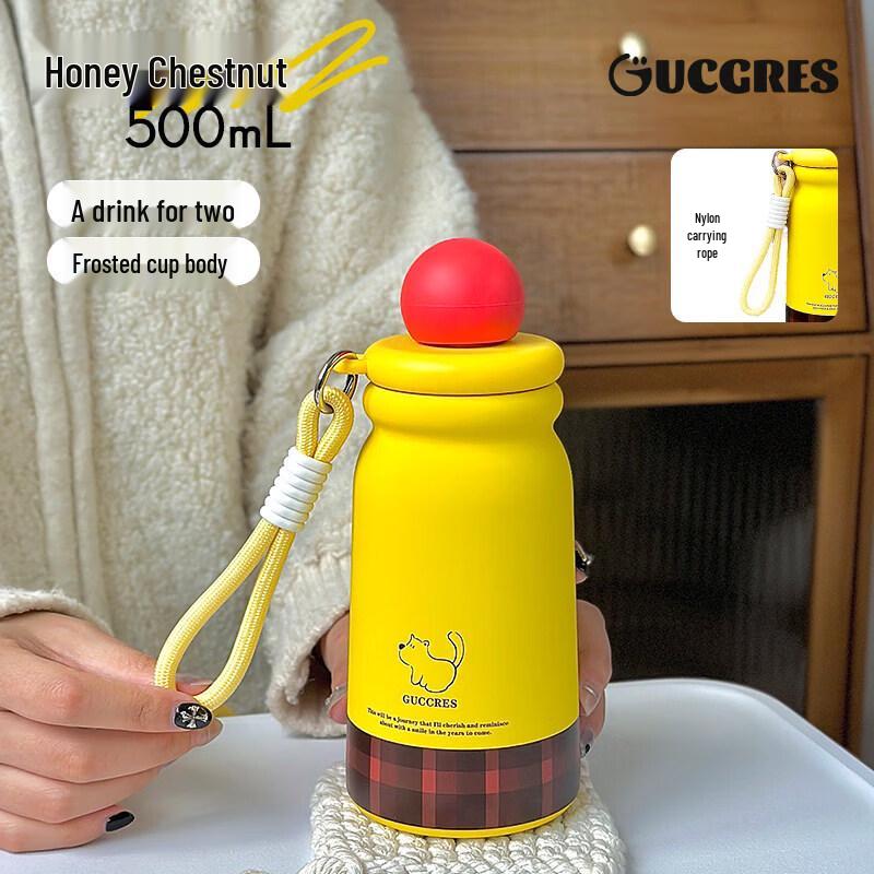 Qiwei Insulated Stainless Steel Straw Water Bottle