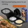 Reptile Terrariums Wall Mount Feeder Multiple Bowl Feeding Dish with Suction Cup for Small Pet Easy Mounting