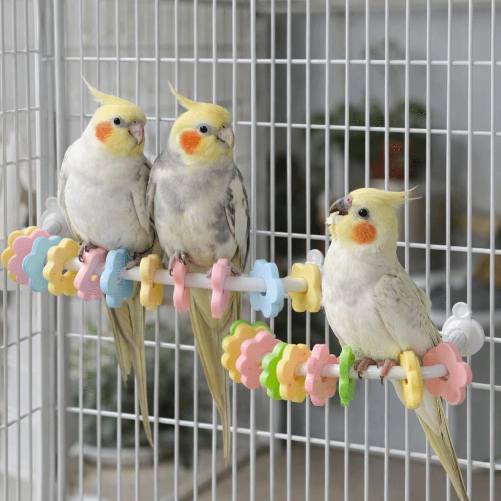 Bite Resistant Parrot Perch Toy Wear Resistant Beak Grinding Rack Cage Accessories
