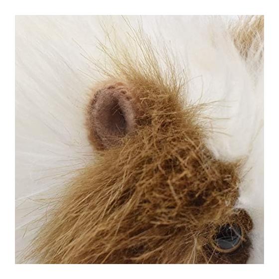 BH3735 HANSA Guinea Pig 20