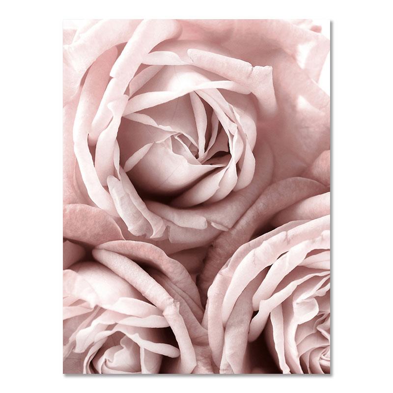 Flower Sheets for Paintings On The Wall Canvas Painting Decorative Pictures for Living Room with Frame Modern Decoration Table