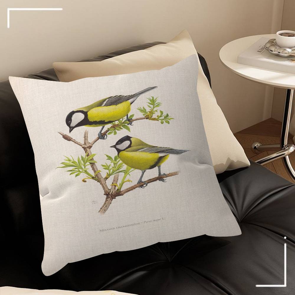 Various Types Of Birds Animal Introduction Pillow Covers Cartoon Sofa Home Doublesided Printing Short Plush Cute Cushion Cover