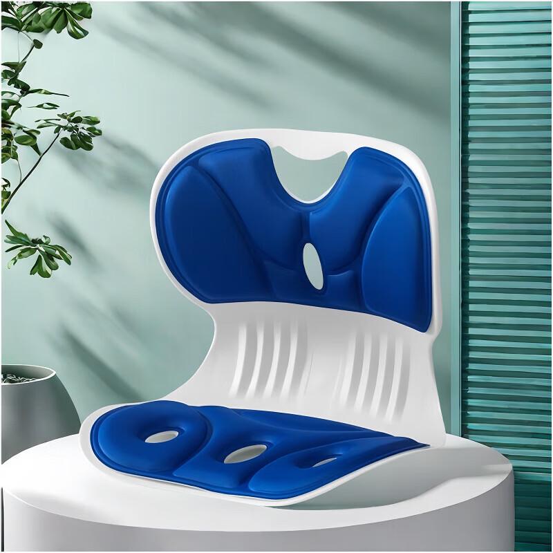 Shouli Ares Lumbar Support Posture Cushion