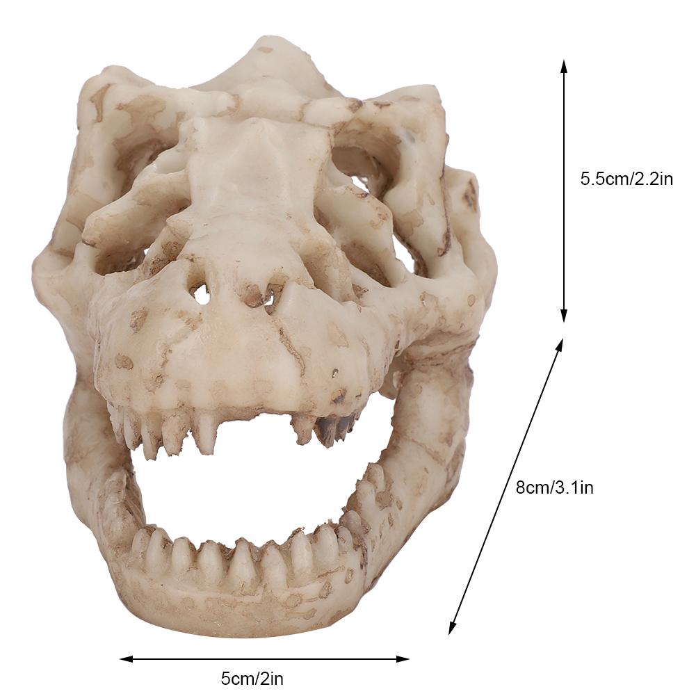 Dinosaur Skull, Fish Box Small Skull Aquarium Decorations Dinosaur Skeletons Aquarium Ornaments Skeleton Hole Artificial Dinosaur Skull Skeleton Orna