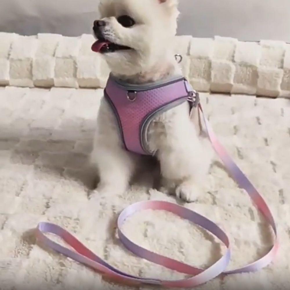 With Reflective Strap Dog Chest Back Dog Leash Gradient Color Dog Walking Leash  Puppy