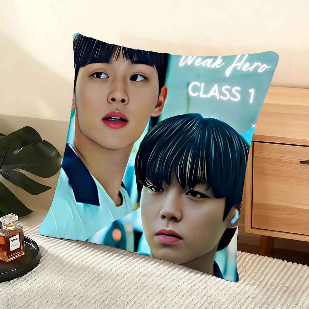 Cushion Cover Silky Short Plush Home Sofa Cushion Cover - Invisible Zipper Home Decoration WeakHero TV Series