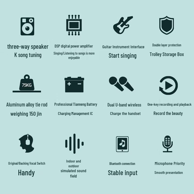 SANSUI E08 Portable Karaoke Speaker with Dual Microphones CN plug (adapter included)