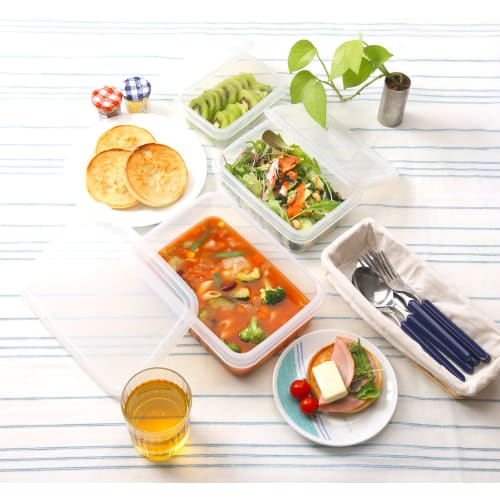 SankoPlastic D-Pack D-10 Storage Container, 6.2L, Natural