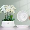 Meshpot Orchid Pot with Holes Plastic Flower Pot Decorative African Violet Pots with Air-Pruning and Good Air Circulation