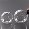 Spherical Glass Eco-Bottle: Succulent & Moss Terrarium Vase