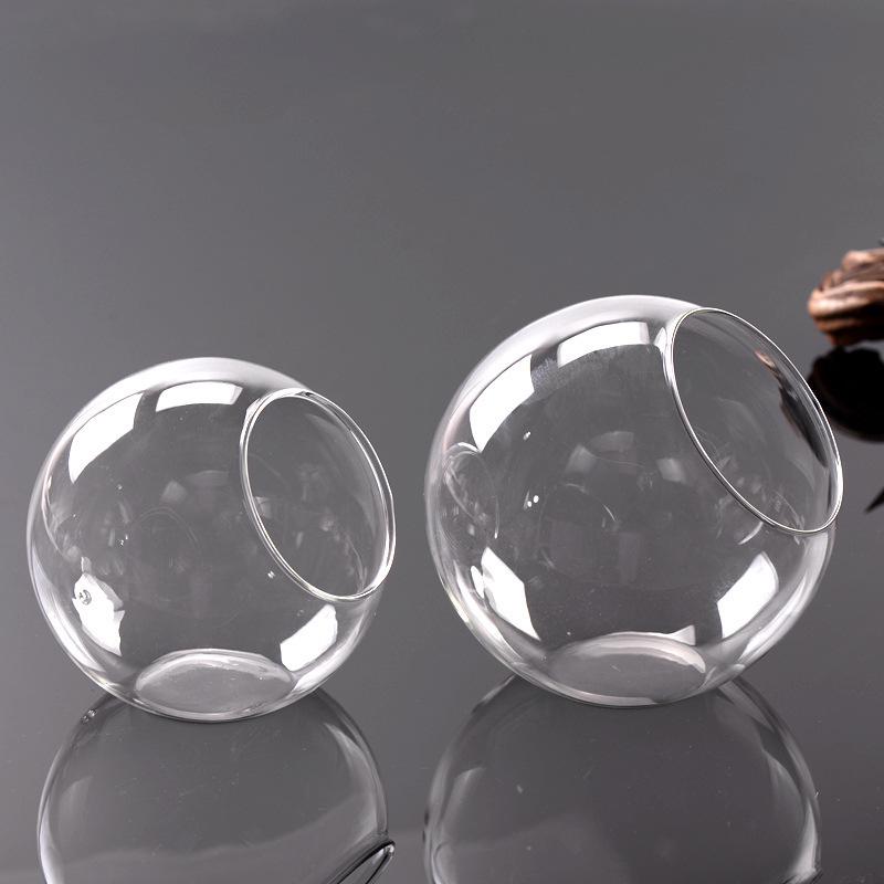 Spherical Glass Eco-Bottle: Succulent & Moss Terrarium Vase