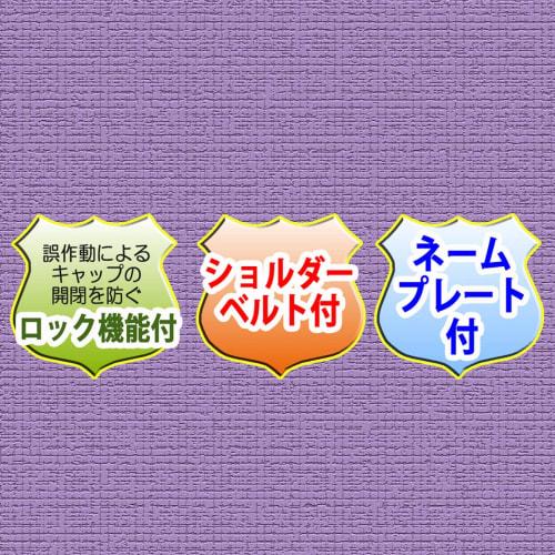 Skater Kids' Stainless Steel Water Bottle, Direct Drinking, 580ml, Maizen Sisters, SDC6N-A