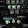 GATERON Baby Kangaroo Switches 2.0 RGB Ahead Heavy Tactile 5-Pin Factory Lubricated 59g for MX Mechanical Keyboards (35 Pcs)