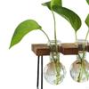 Flower Vase Glass Wooden Frame Transparent Display Flowers Plant Terrarium Modern for