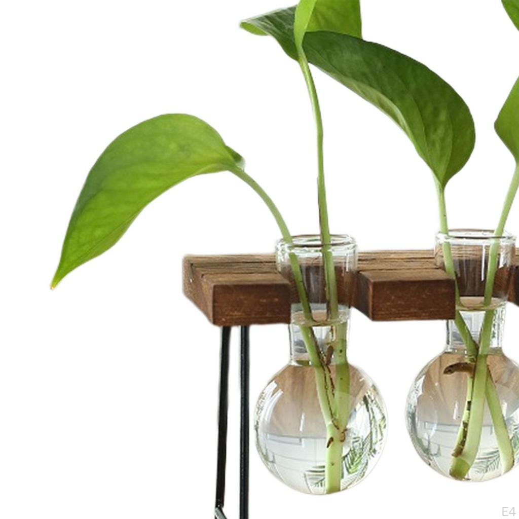 Flower Vase Glass Wooden Frame Transparent Display Flowers Plant Terrarium Modern for