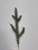Pe Natural Spruce Branch Pe