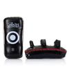 Fairtex Pao Schilde KPLS2
