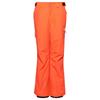 Superdry Брюки Ski Ultimate Rescue