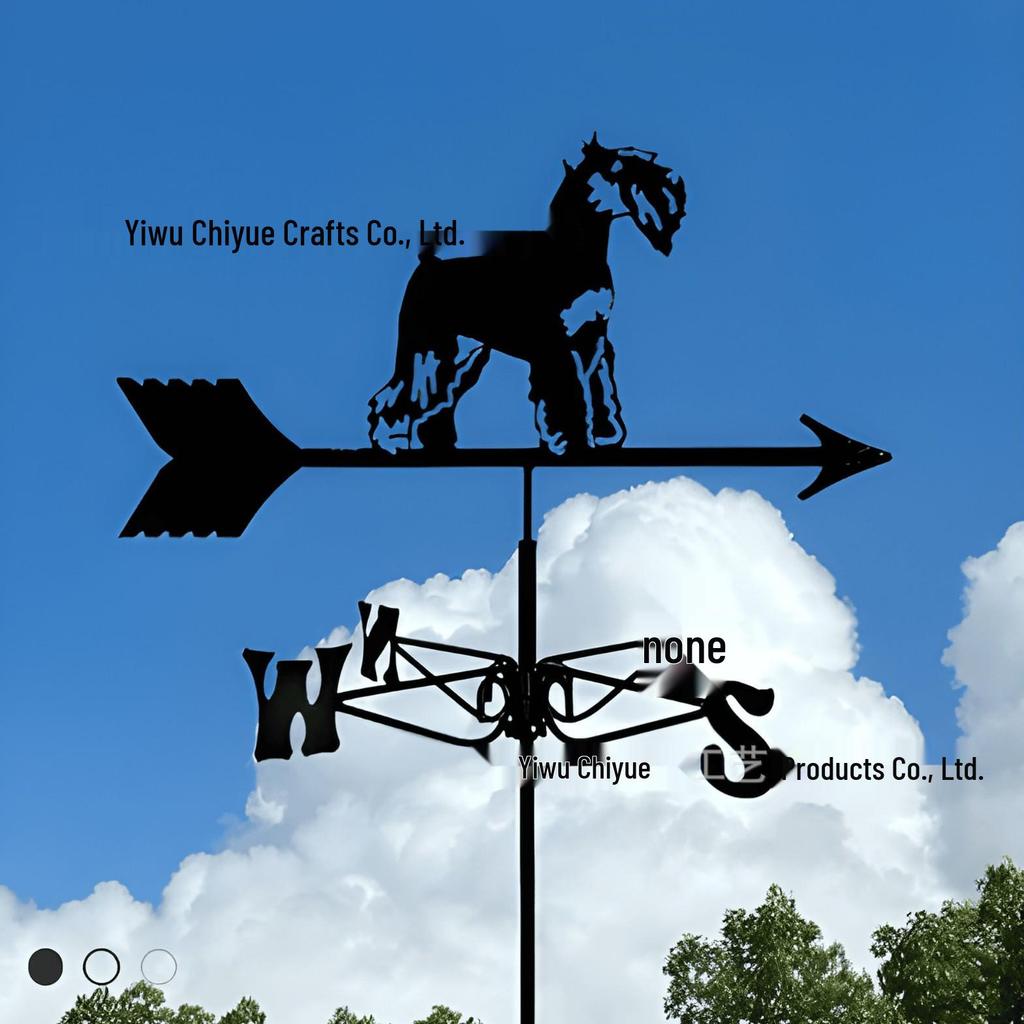 Weather Vane Ornament: Outdoor Wrought Iron Spray-Painted Roof Decoration Metal Craft