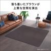Panasonic Hot Electric Triple Insulation Energy Timer Dust Mite Changeable Cover 3 Tatami Carpet, Carpet, Structure, Saving, Function, Prevention,