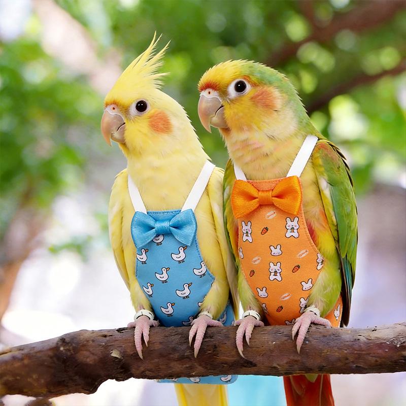 Bird Diaper Parrot Flight Suit Anti-Cold Belly Guard Parrot Diaper Pants for Outing Wear Adjustable